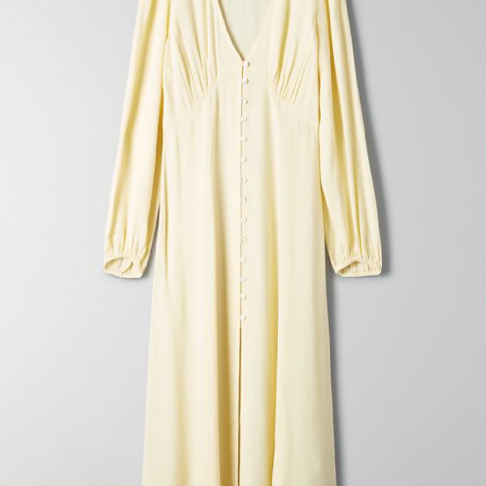 ✨Brand new with tags✨ Wilfred Gallery dress✨